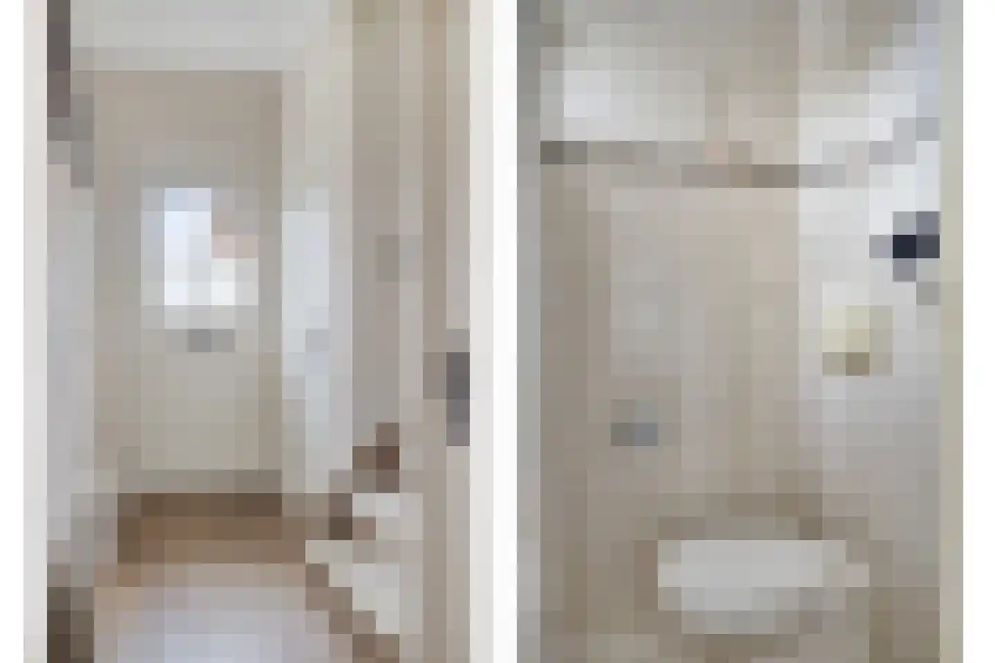 Lijsterbesstraat 21 Opheusden thumbnail 12