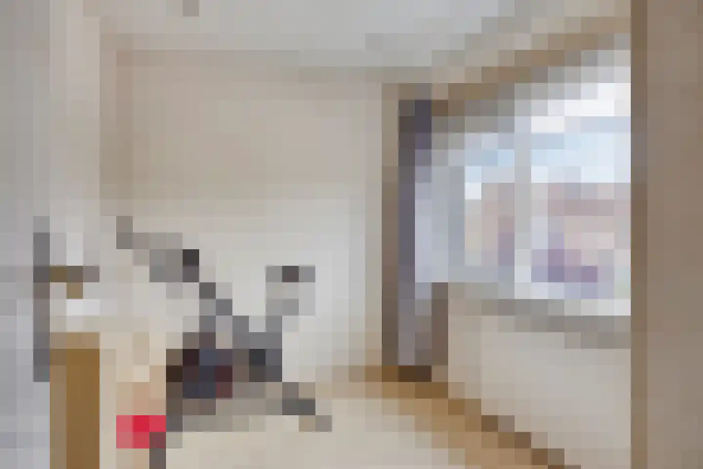 Lijsterbesstraat 21 Opheusden thumbnail 16