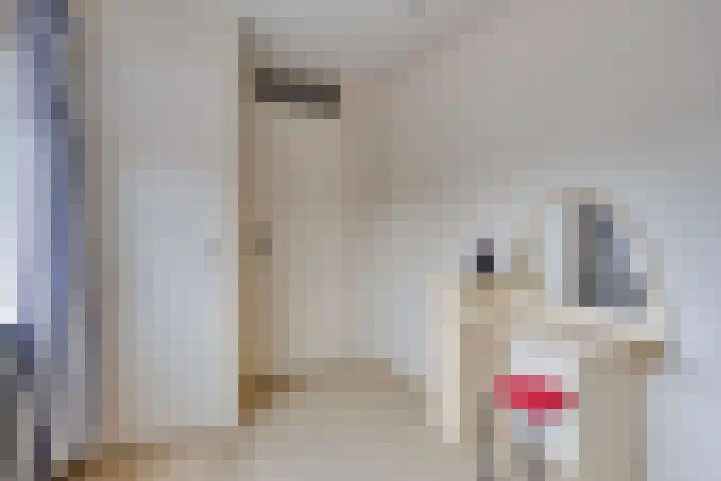 Lijsterbesstraat 21 Opheusden thumbnail 17