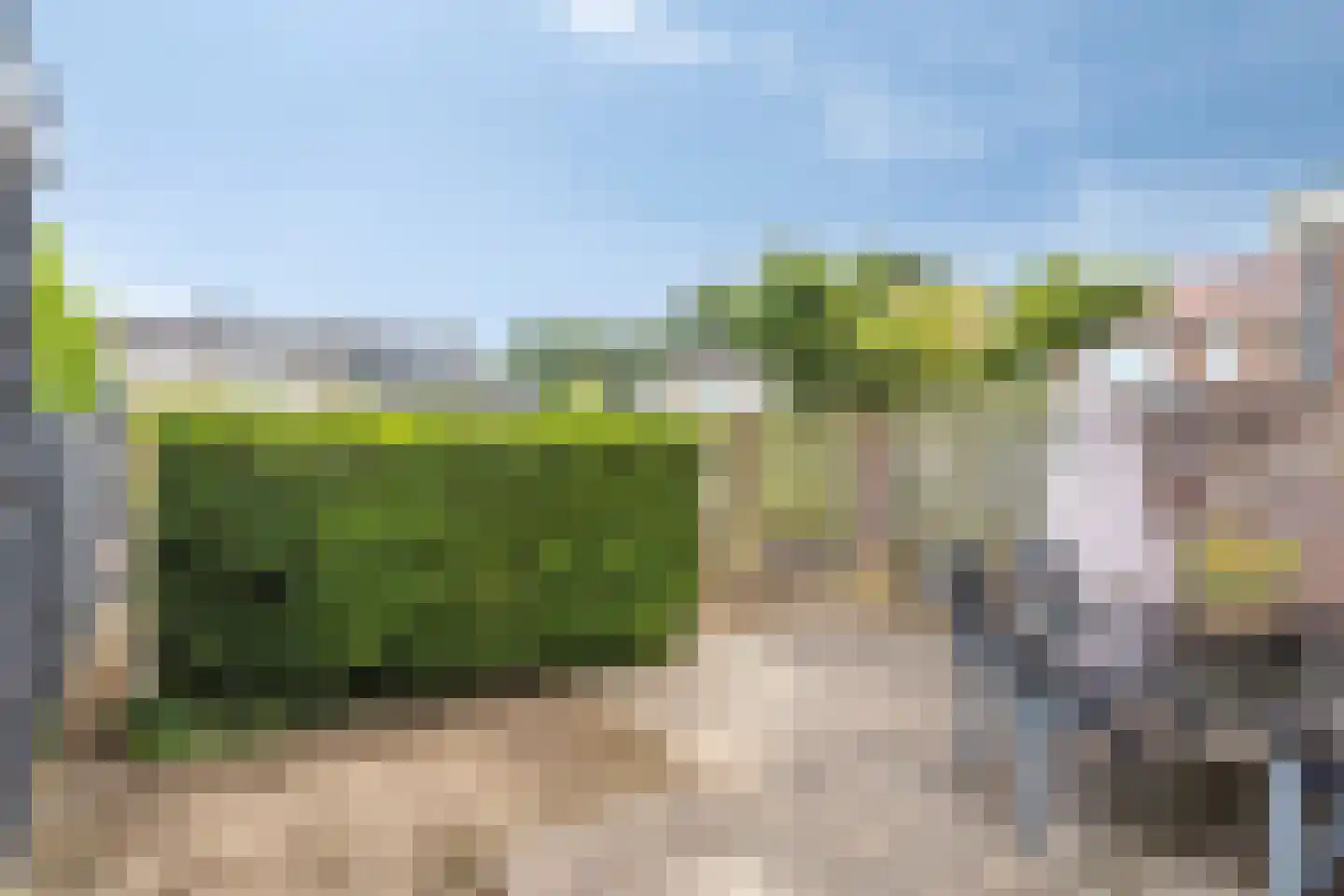 Lijsterbesstraat 21 Opheusden thumbnail 22
