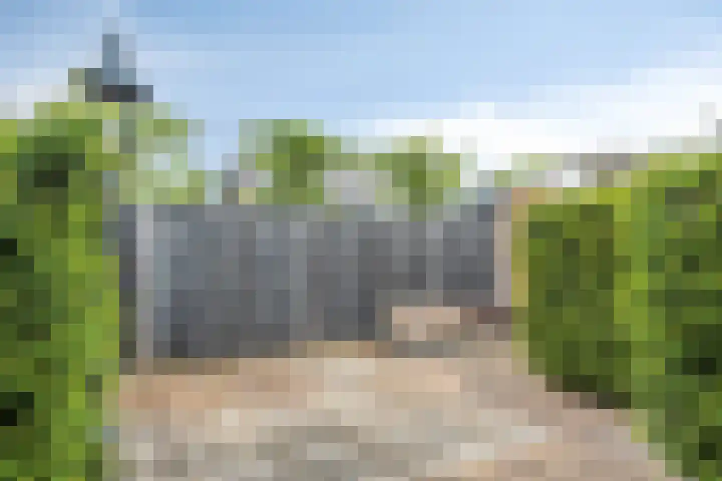Lijsterbesstraat 21 Opheusden thumbnail 23