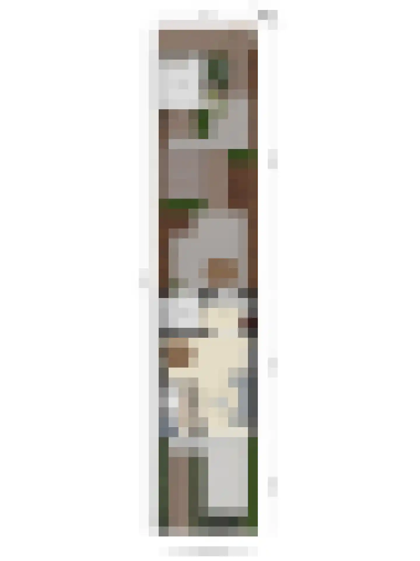 Lijsterbesstraat 21 Opheusden thumbnail 29