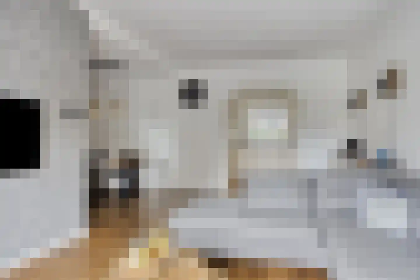 Lijsterbesstraat 21 Opheusden thumbnail 5