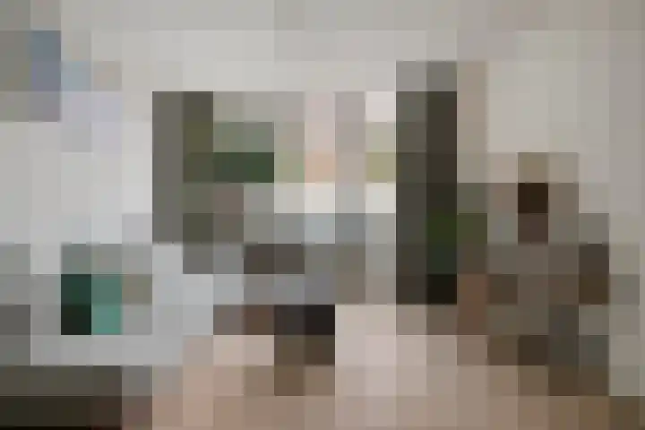 Lijsterbesstraat 21 Zaandam thumbnail 12
