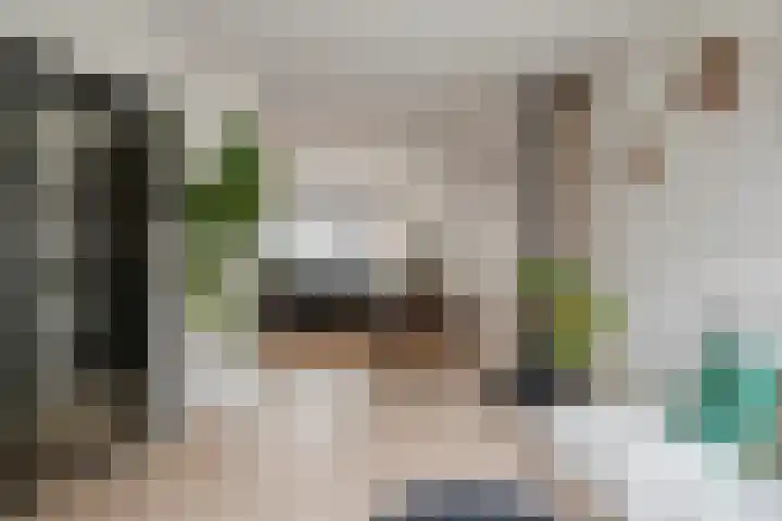 Lijsterbesstraat 21 Zaandam thumbnail 13