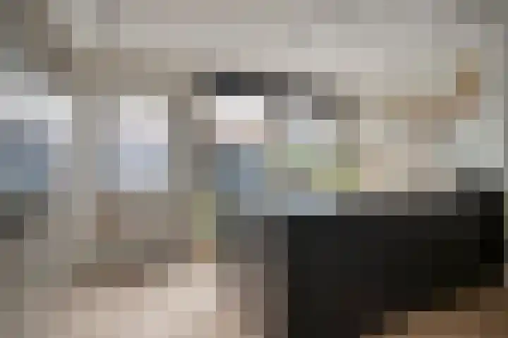 Lijsterbesstraat 21 Zaandam thumbnail 18