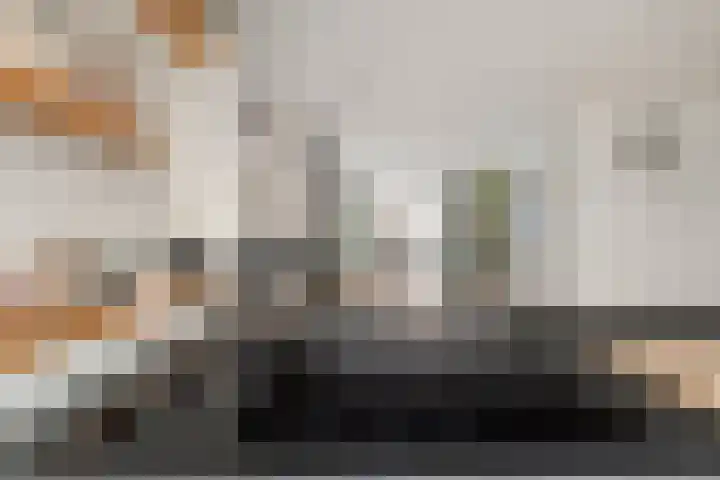 Lijsterbesstraat 21 Zaandam thumbnail 19