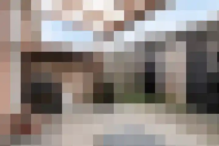 Lijsterbesstraat 21 Zaandam thumbnail 21