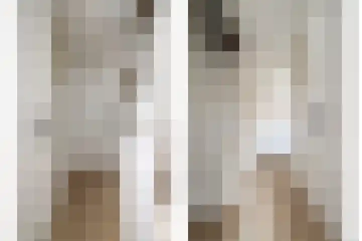 Lijsterbesstraat 21 Zaandam thumbnail 22