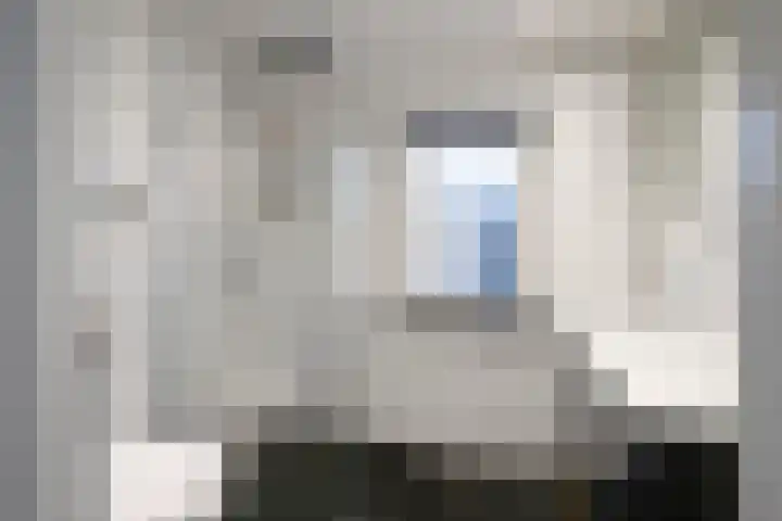 Lijsterbesstraat 21 Zaandam thumbnail 23