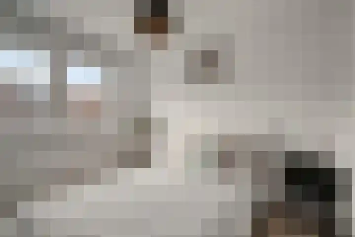 Lijsterbesstraat 21 Zaandam thumbnail 28