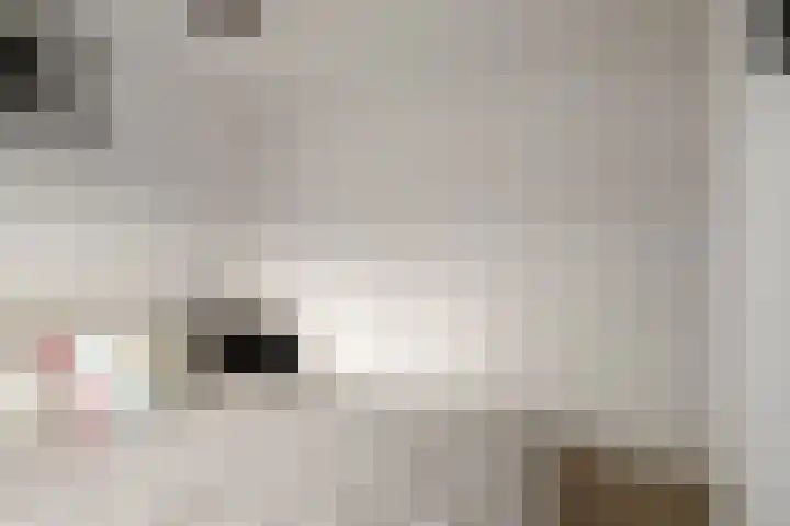 Lijsterbesstraat 21 Zaandam thumbnail 29