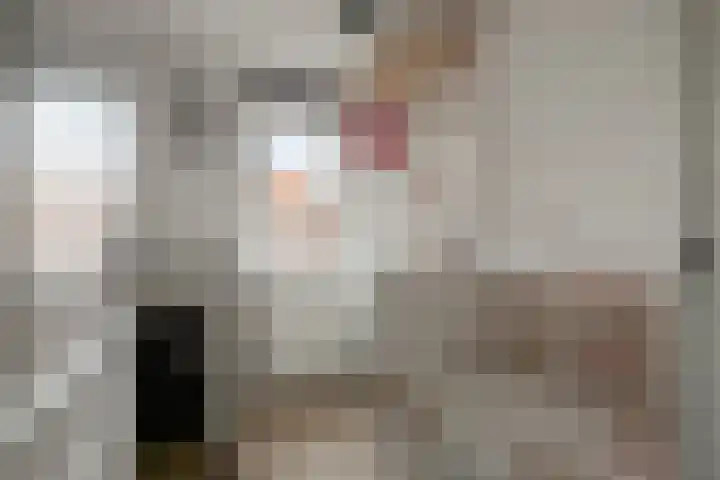 Lijsterbesstraat 21 Zaandam thumbnail 30