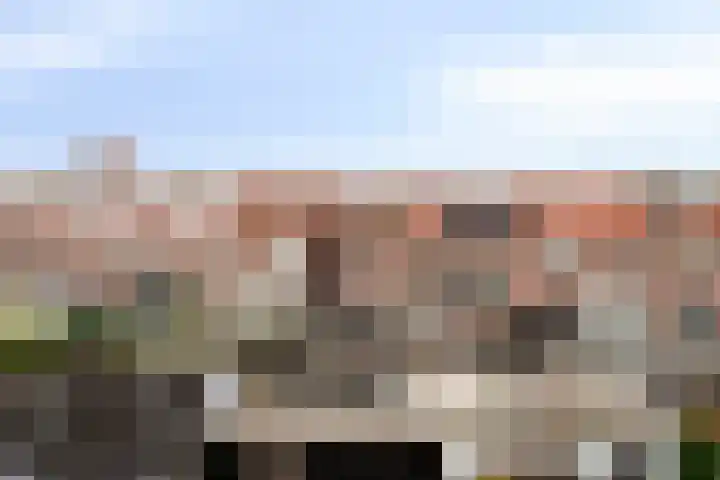 Lijsterbesstraat 21 Zaandam thumbnail 33