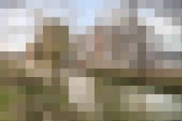 Lijsterbesstraat 21 Zaandam thumbnail 35