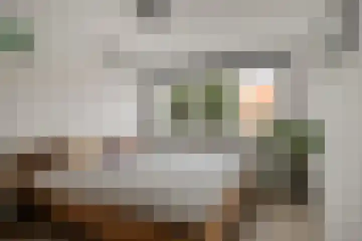 Lijsterbesstraat 21 Zaandam thumbnail 4