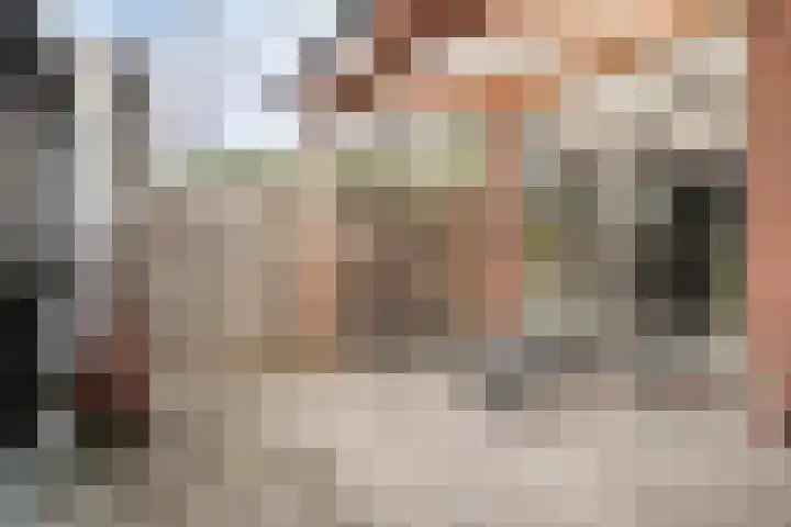 Lijsterbesstraat 21 Zaandam thumbnail 5