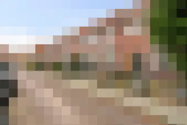 Lijsterbesstraat 21 Zaandam thumbnail 6