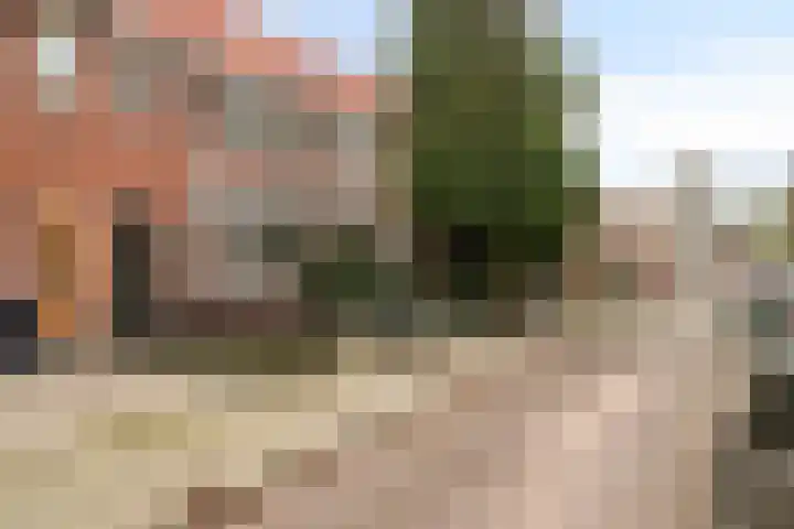 Lijsterbesstraat 21 Zaandam thumbnail 7