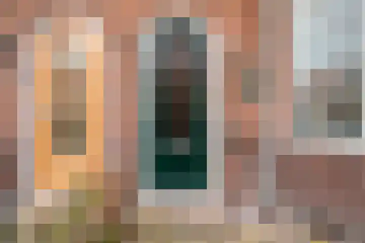 Lijsterbesstraat 21 Zaandam thumbnail 8