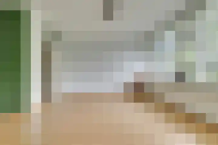 Lijsterbesstraat 216 Nieuwegein thumbnail 8