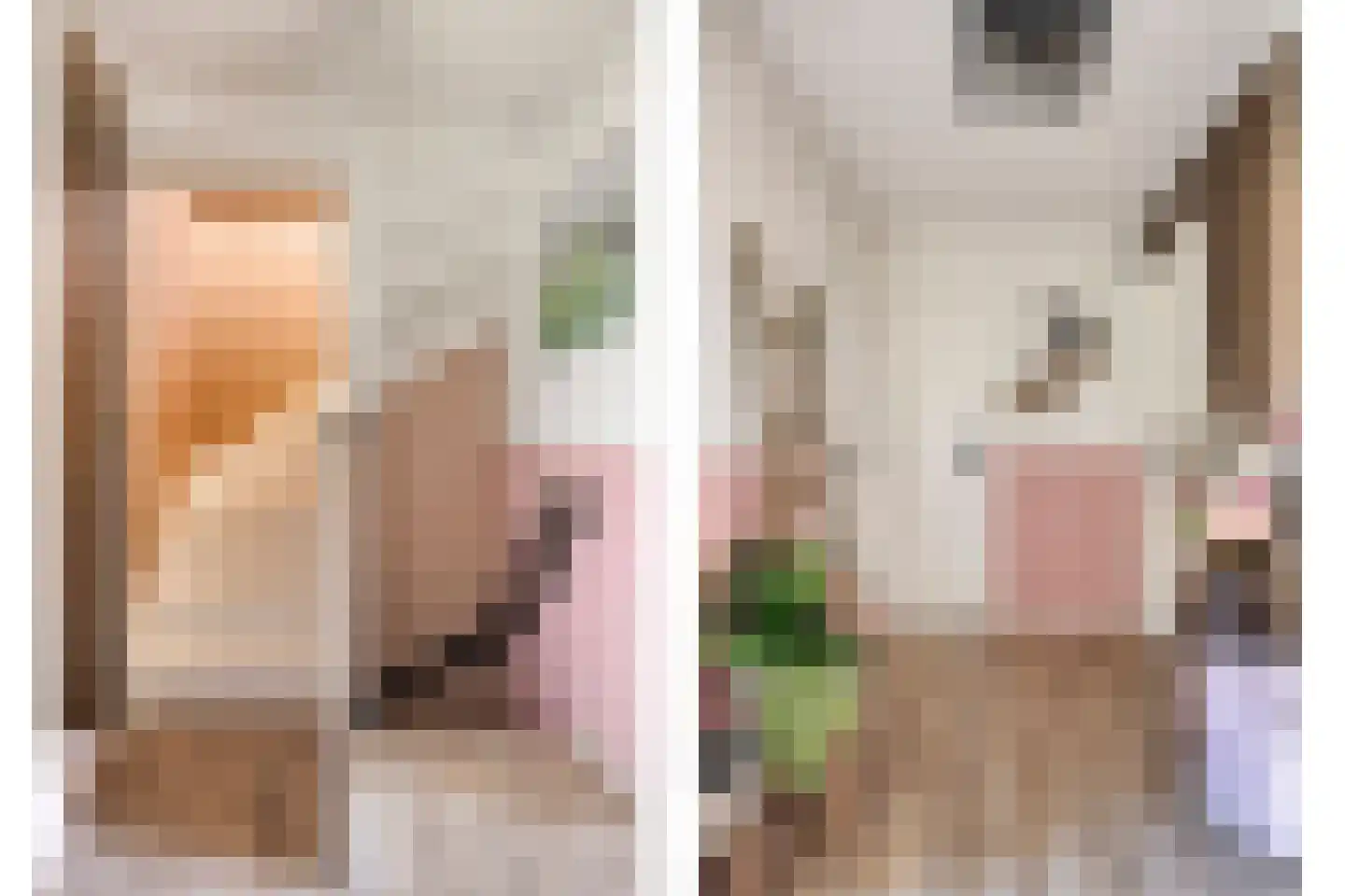 Lijsterbesstraat 22 Spijkenisse thumbnail 10