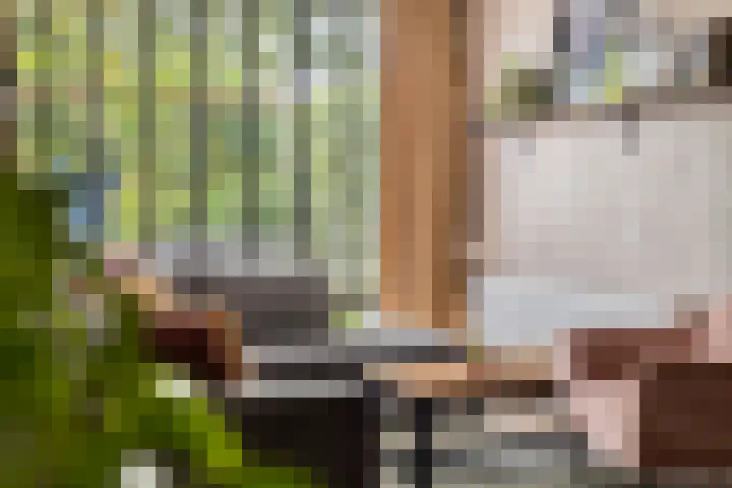 Lijsterbesstraat 22 Spijkenisse thumbnail 11