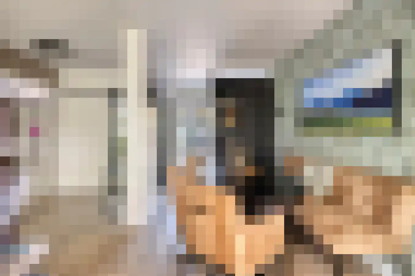 Lijsterbesstraat 22 Spijkenisse thumbnail 12