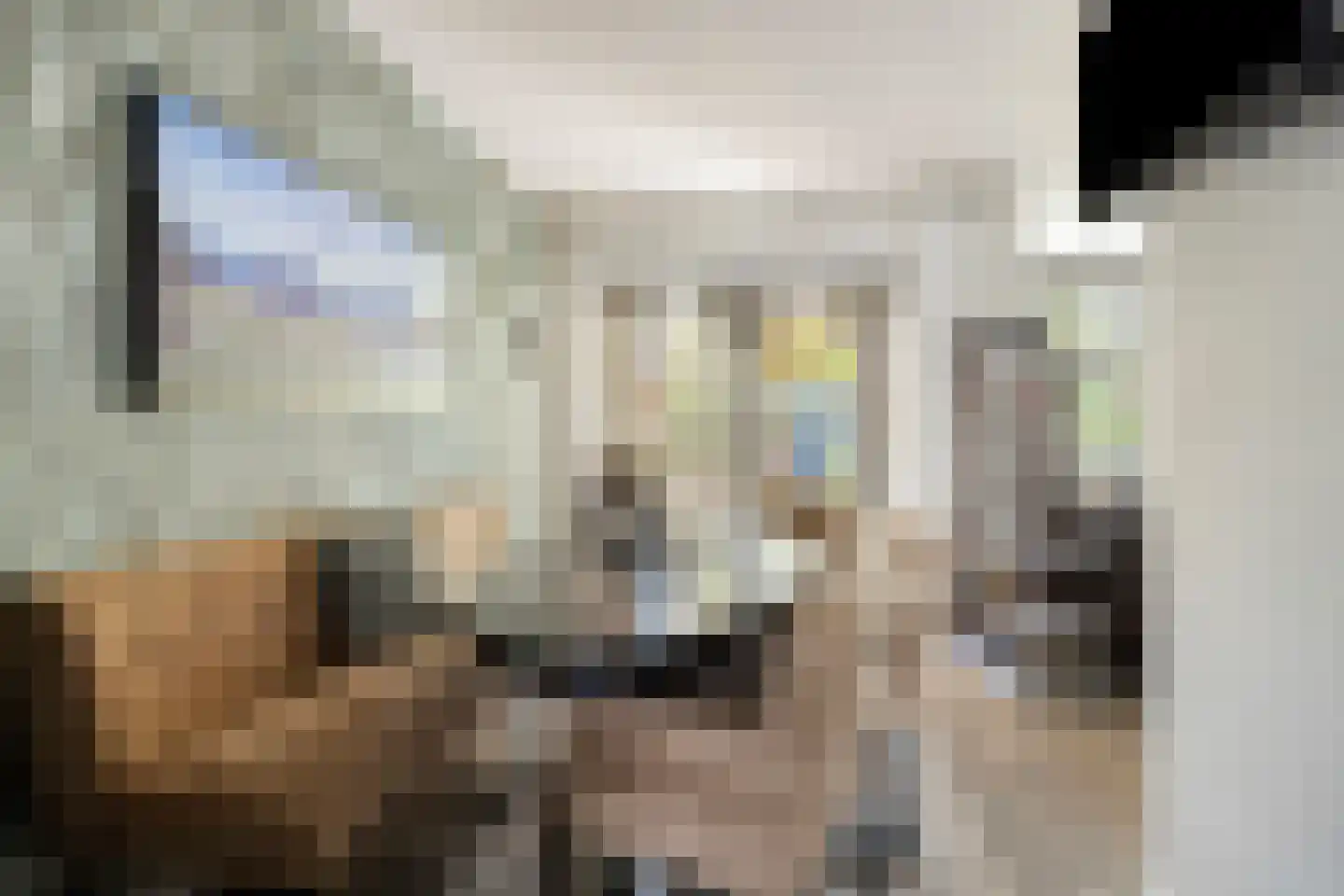 Lijsterbesstraat 22 Spijkenisse thumbnail 13