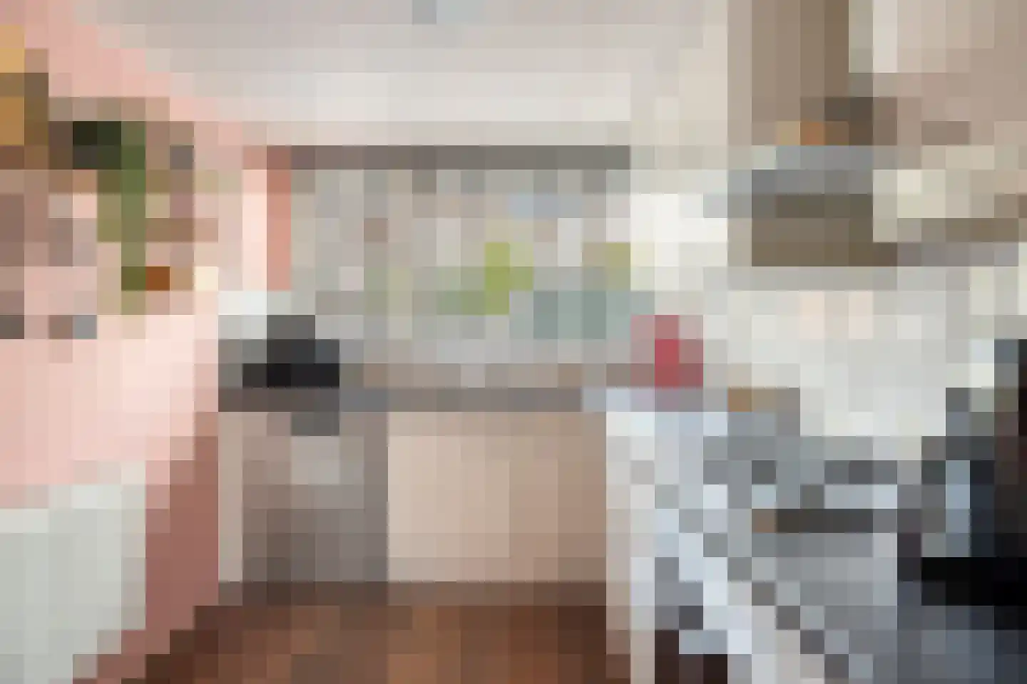 Lijsterbesstraat 22 Spijkenisse thumbnail 14