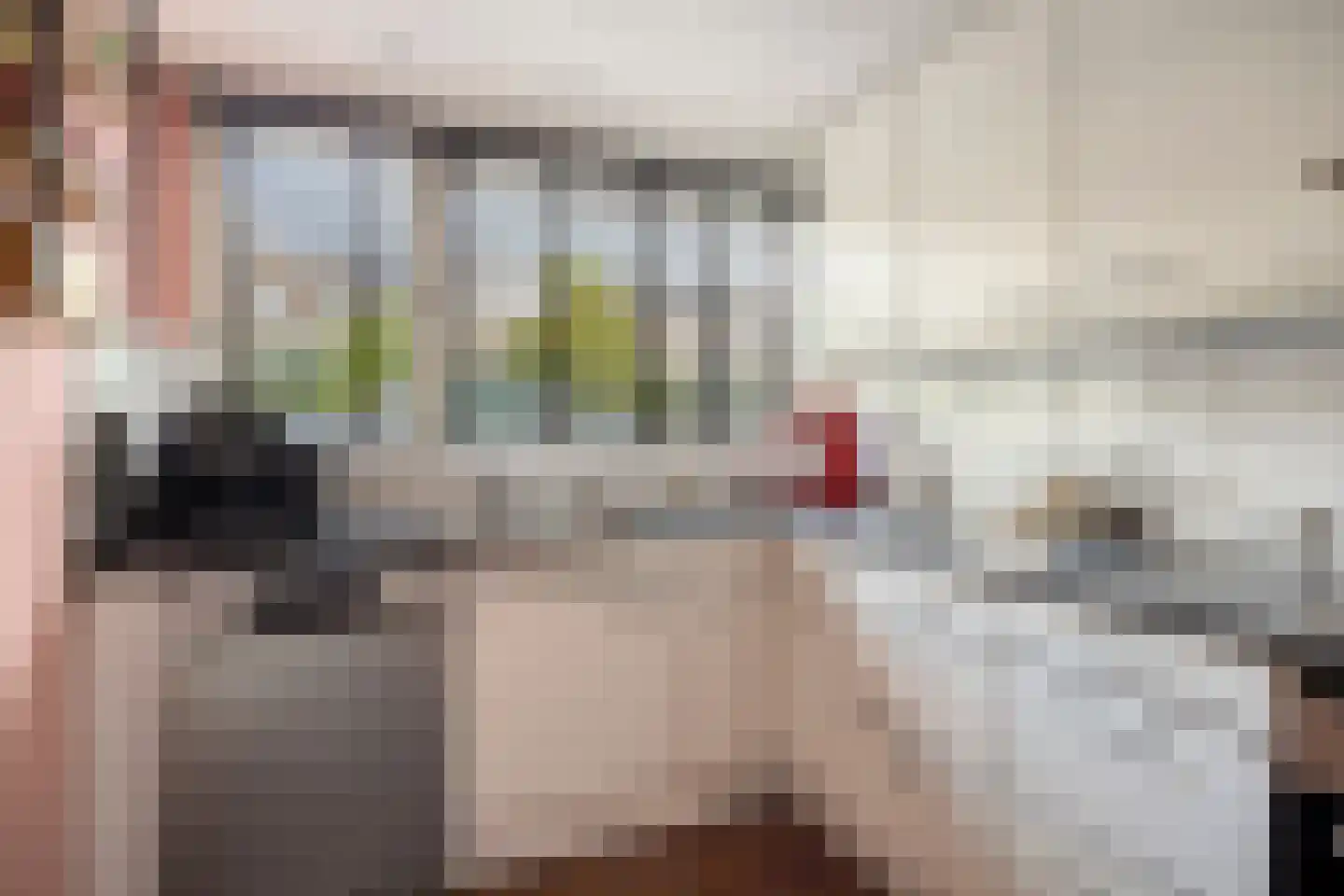 Lijsterbesstraat 22 Spijkenisse thumbnail 15
