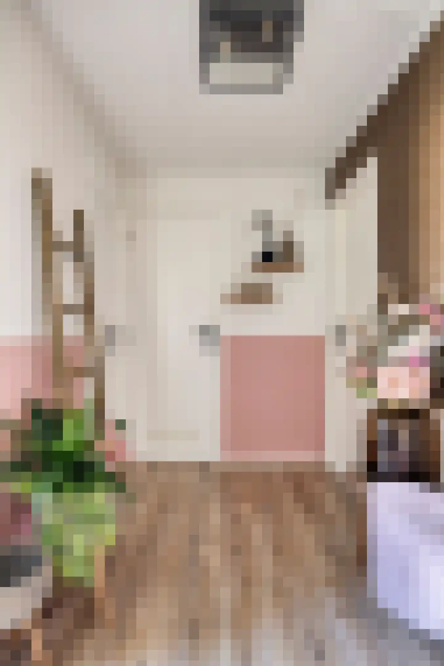 Lijsterbesstraat 22 Spijkenisse thumbnail 19