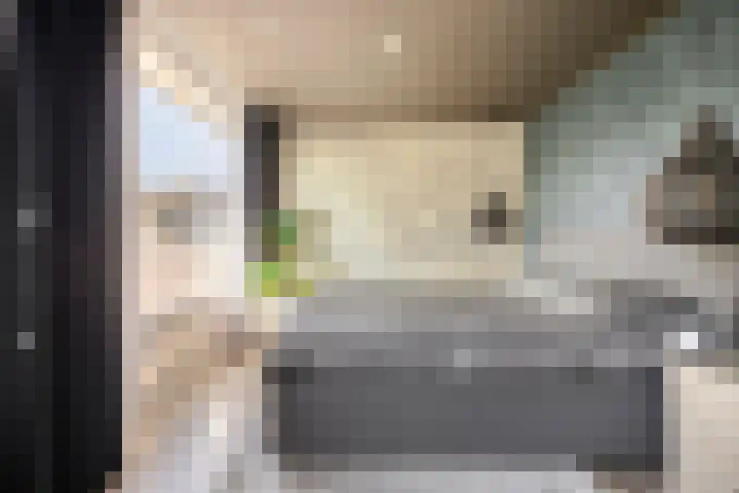 Lijsterbesstraat 22 Spijkenisse thumbnail 20