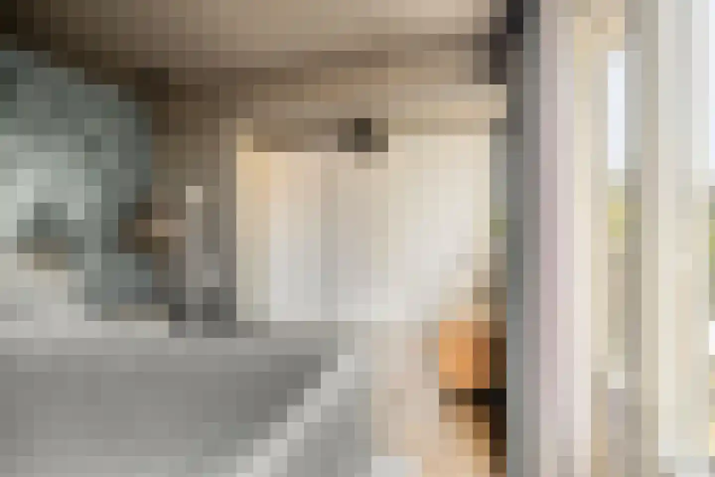 Lijsterbesstraat 22 Spijkenisse thumbnail 21