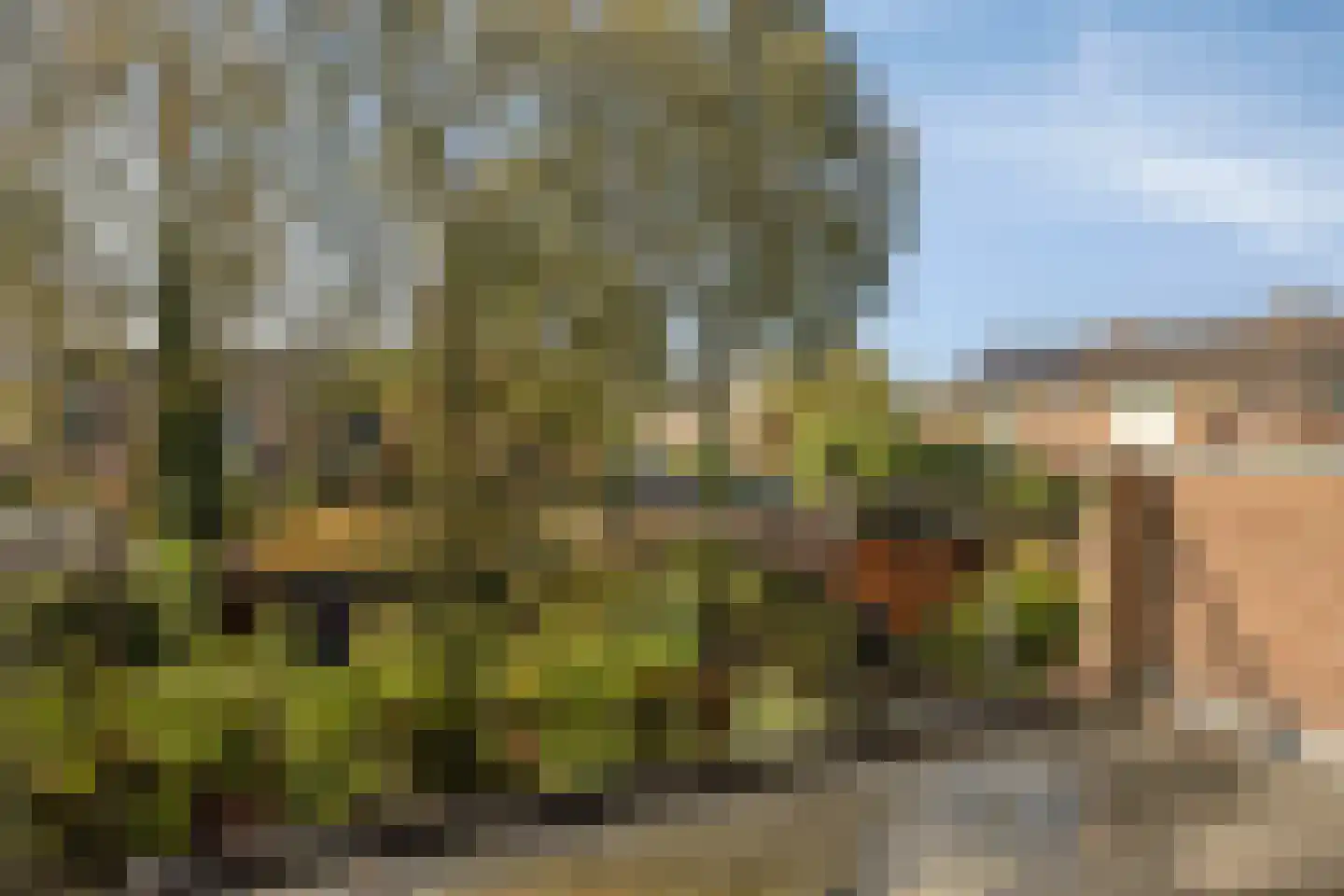 Lijsterbesstraat 22 Spijkenisse thumbnail 22