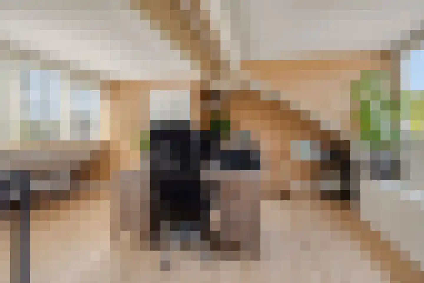Lijsterbesstraat 22 Spijkenisse thumbnail 28