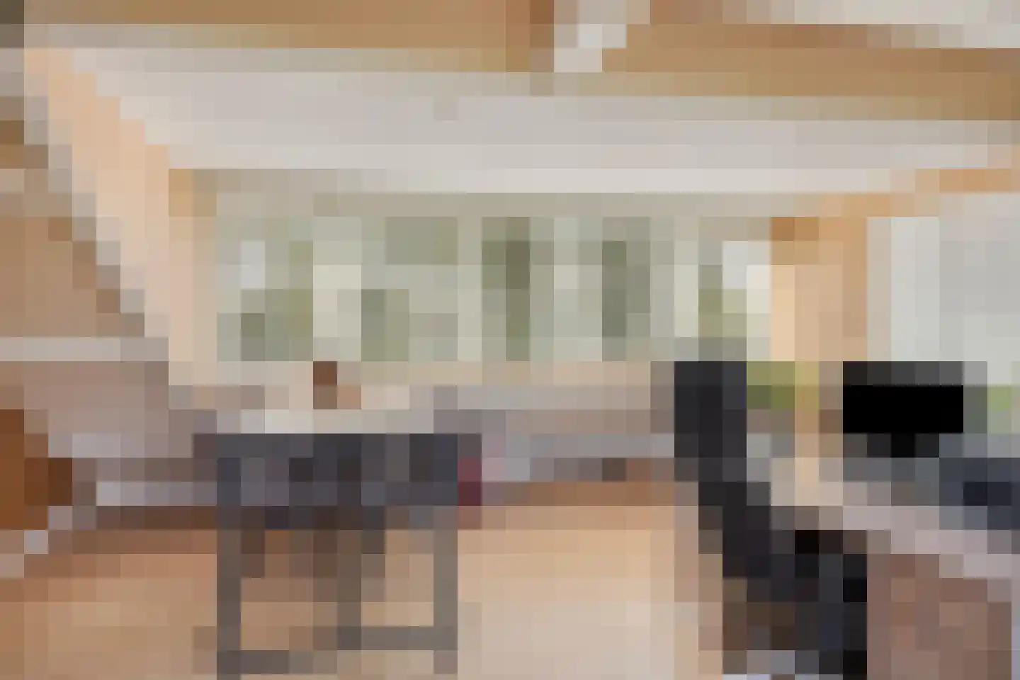 Lijsterbesstraat 22 Spijkenisse thumbnail 29