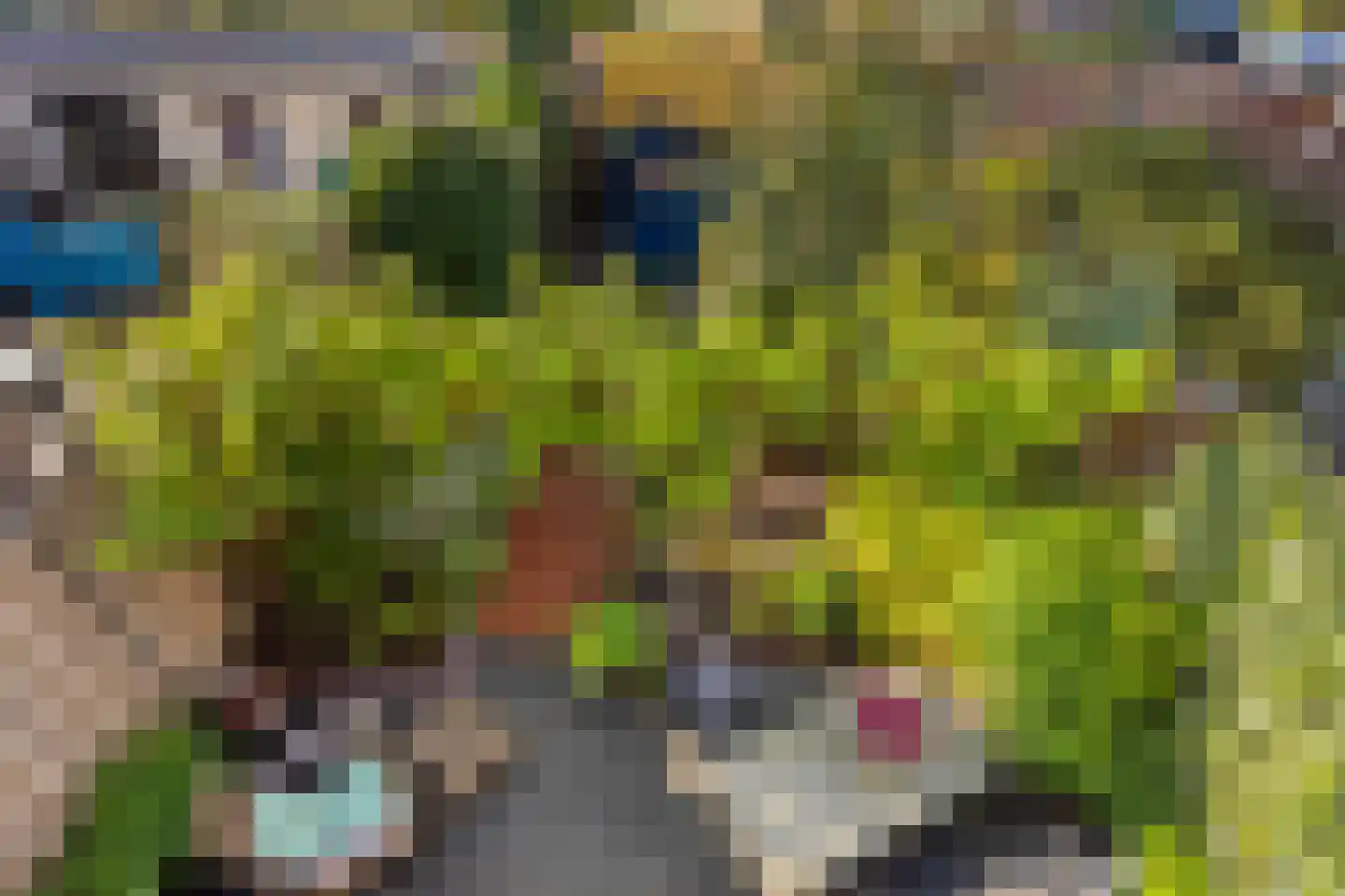 Lijsterbesstraat 22 Spijkenisse thumbnail 30