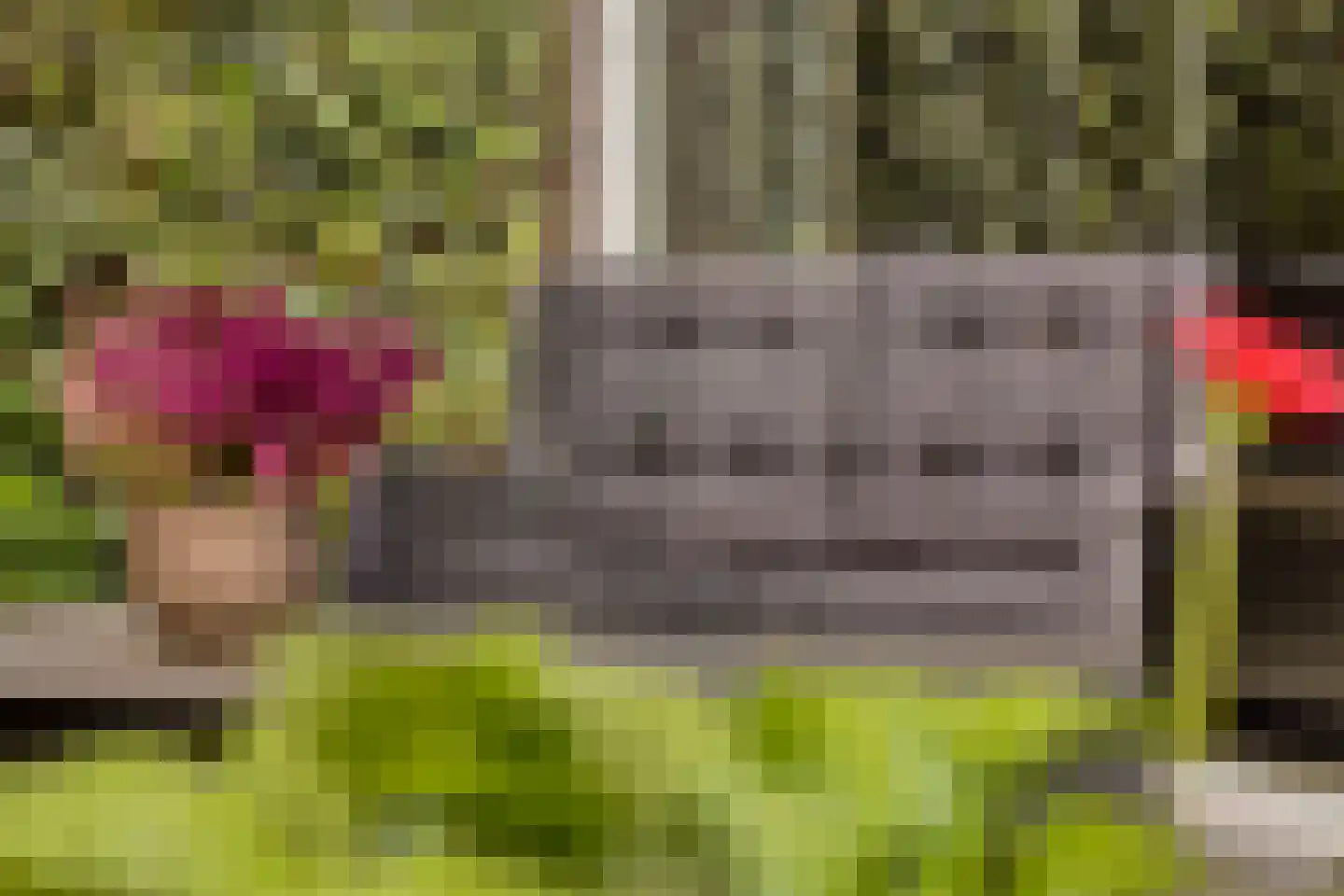 Lijsterbesstraat 22 Spijkenisse thumbnail 32