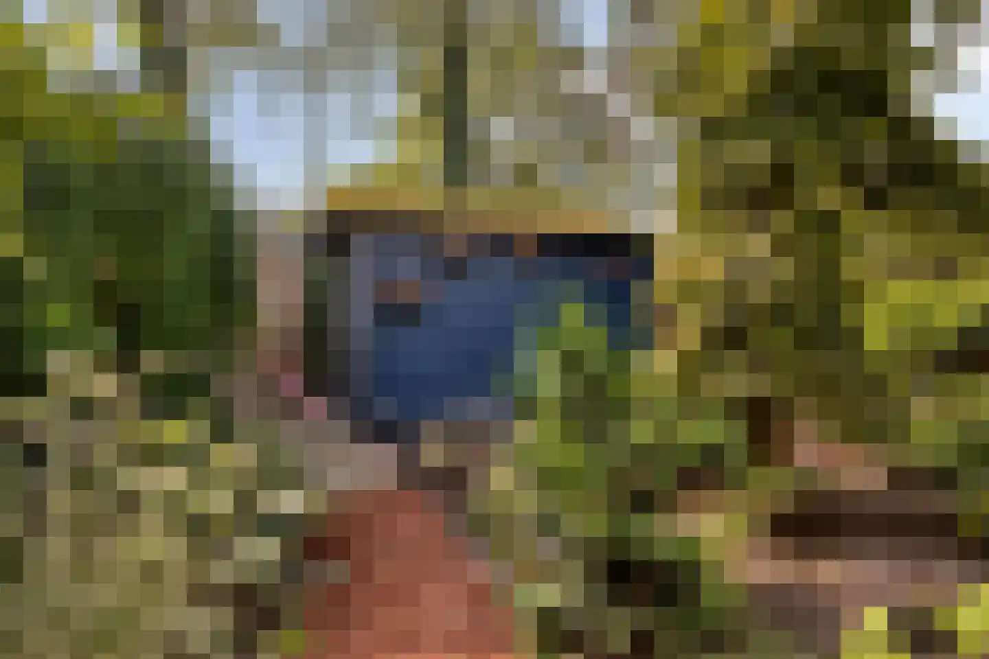 Lijsterbesstraat 22 Spijkenisse thumbnail 33