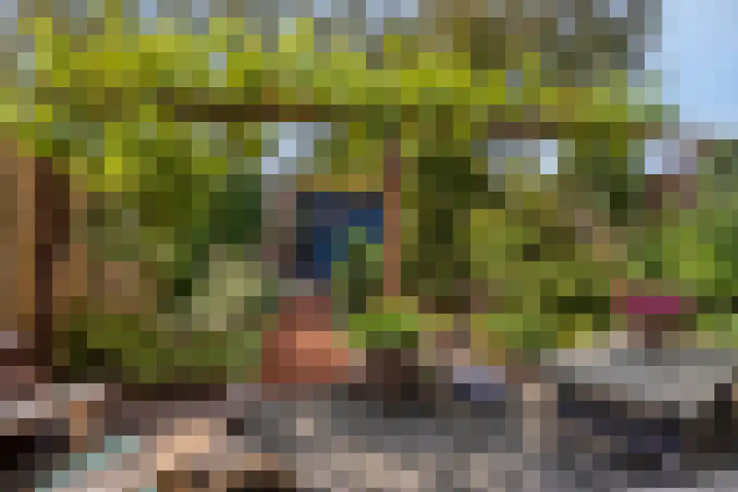 Lijsterbesstraat 22 Spijkenisse thumbnail 4