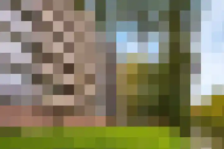 Lijsterbesstraat 222 in Nieuwegein