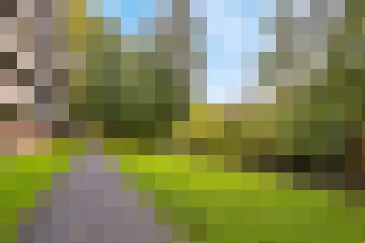 Lijsterbesstraat 222 Nieuwegein thumbnail 39