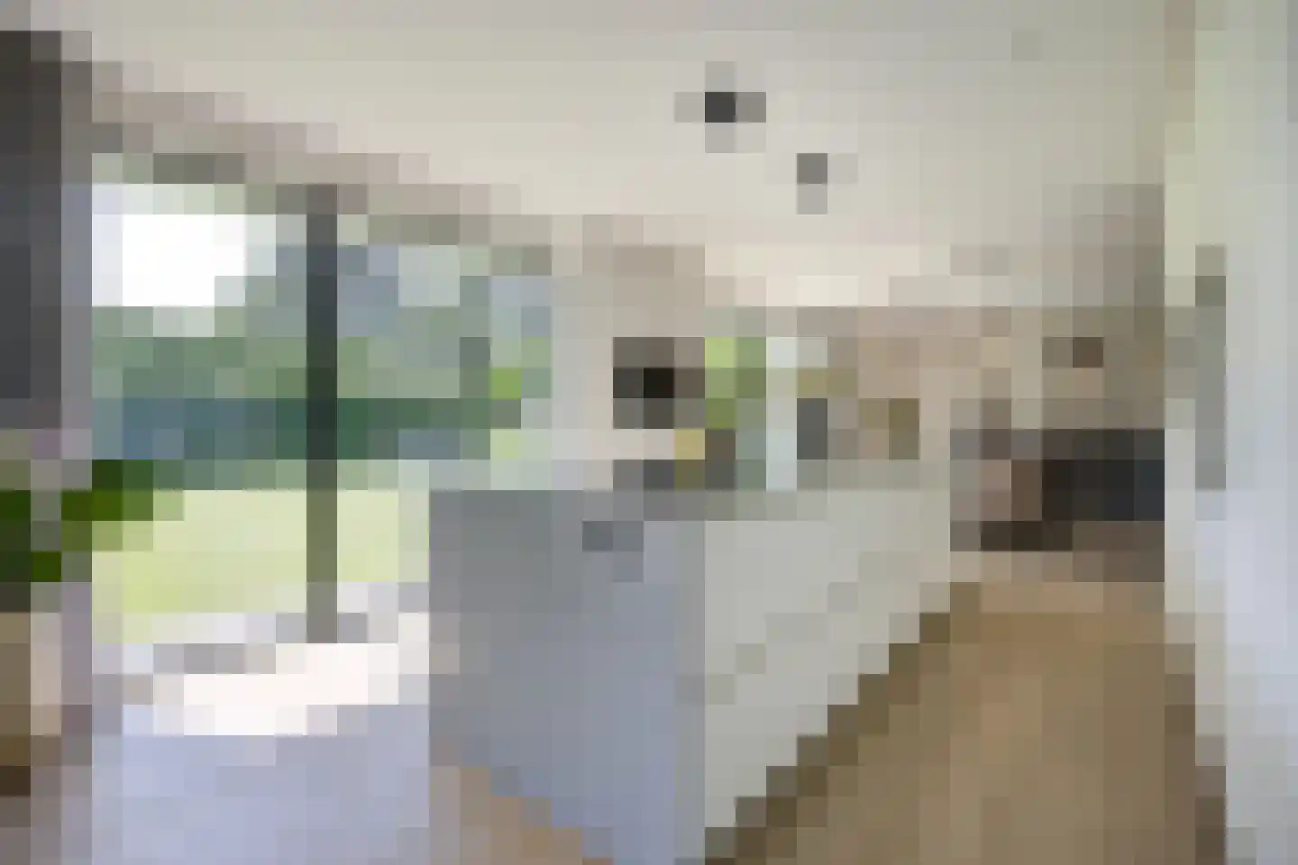 Lijsterbesstraat 23 A St. Willebrord thumbnail 20