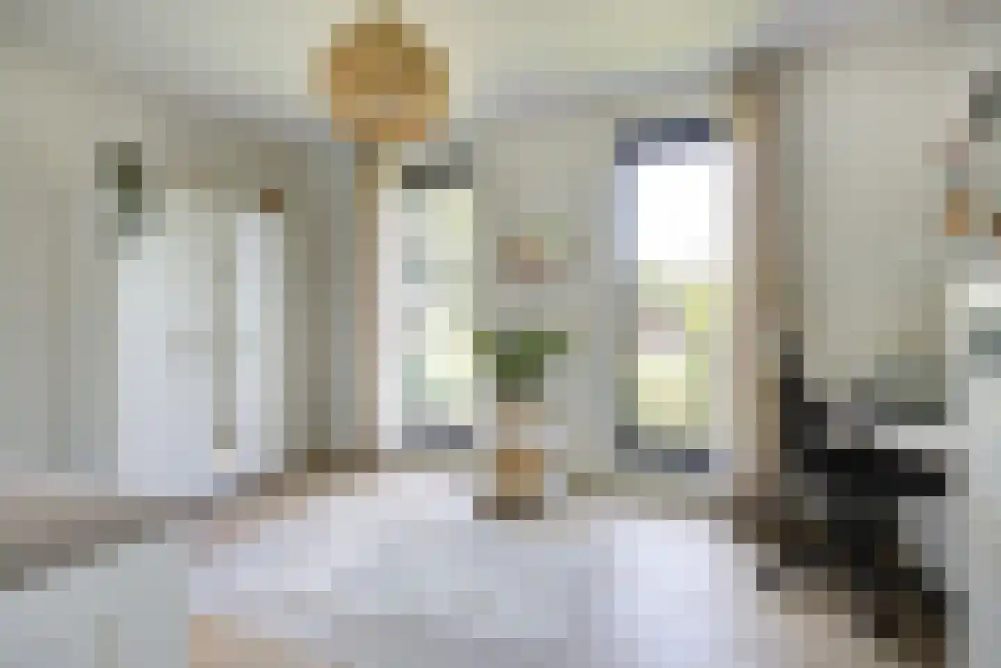 Lijsterbesstraat 23 A St. Willebrord thumbnail 36