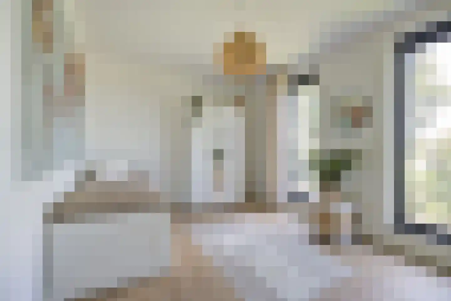 Lijsterbesstraat 23 A St. Willebrord thumbnail 37