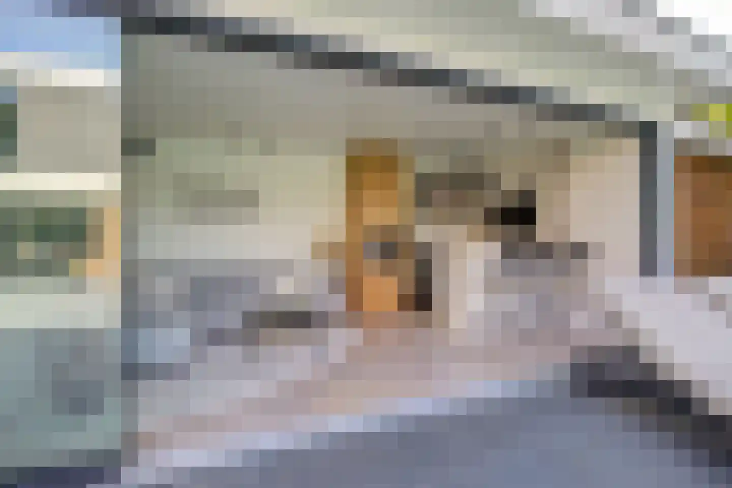 Lijsterbesstraat 23 A St. Willebrord thumbnail 60
