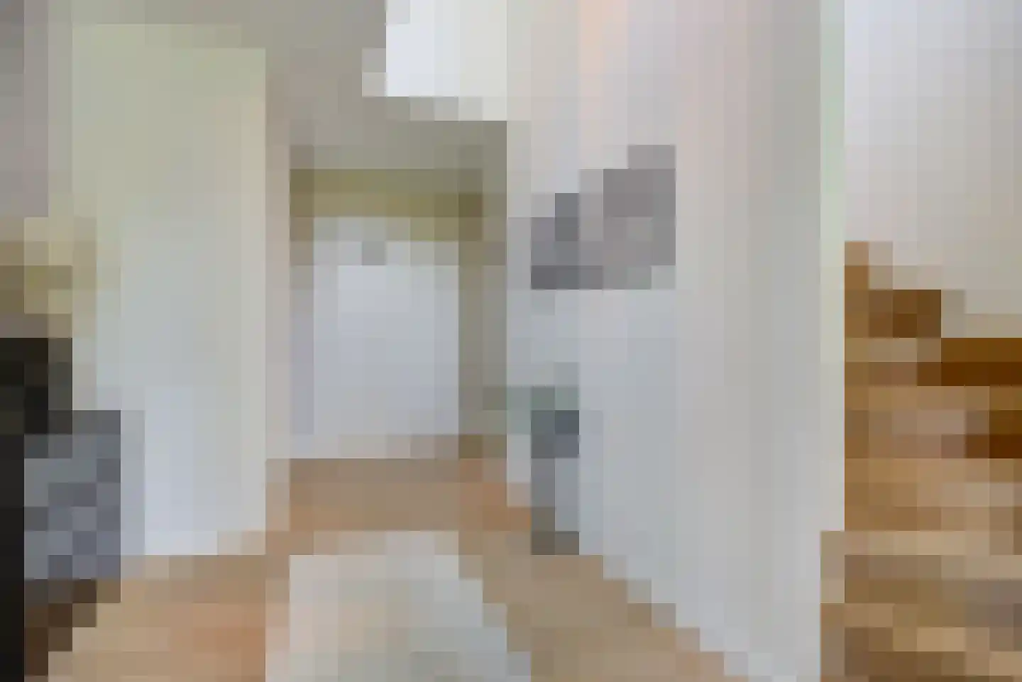 Lijsterbesstraat 23 A St. Willebrord thumbnail 7