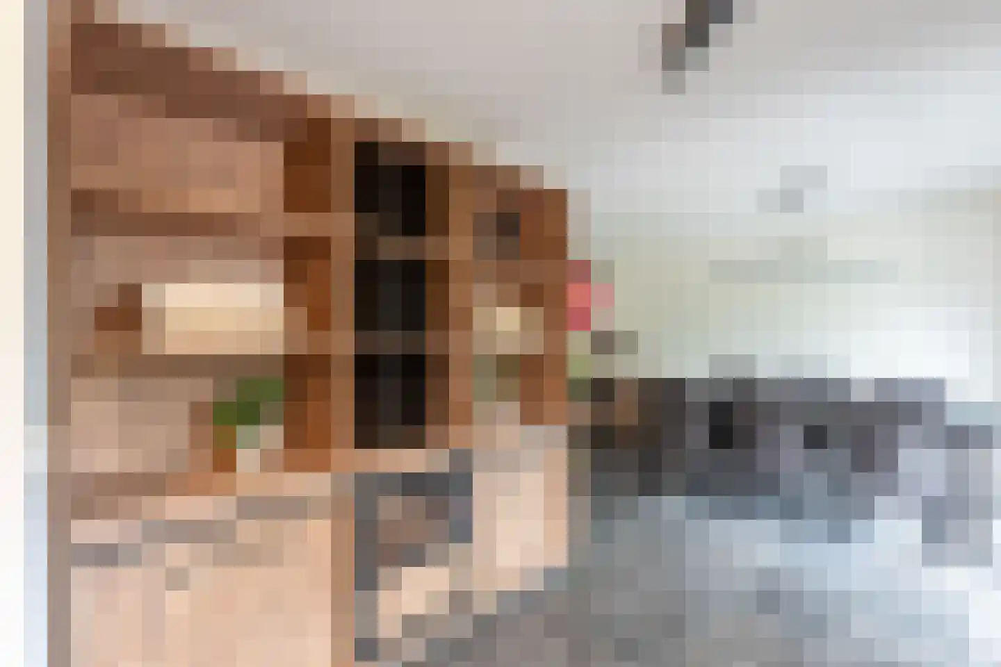 Lijsterbesstraat 24 Goes thumbnail 21