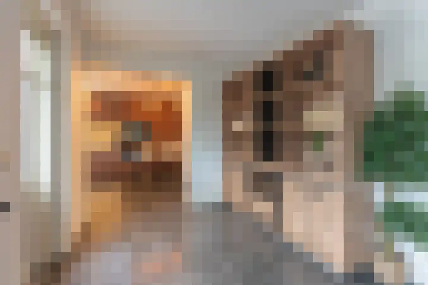 Lijsterbesstraat 24 Goes thumbnail 22